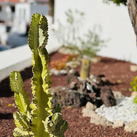 Sunshine Daydream Costa Adeje