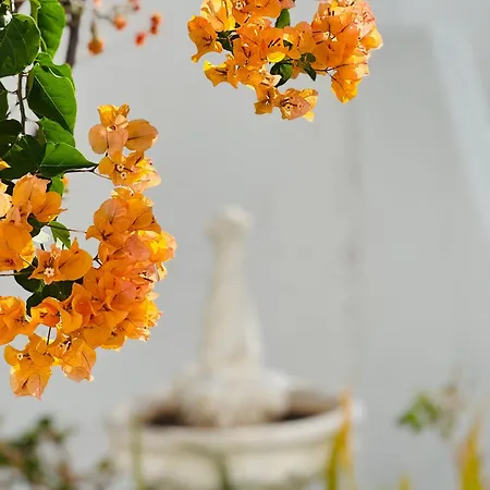 Sunshine Daydream Costa Adeje Appartement Playa Feñabe