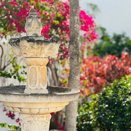 Sunshine Daydream Costa Adeje