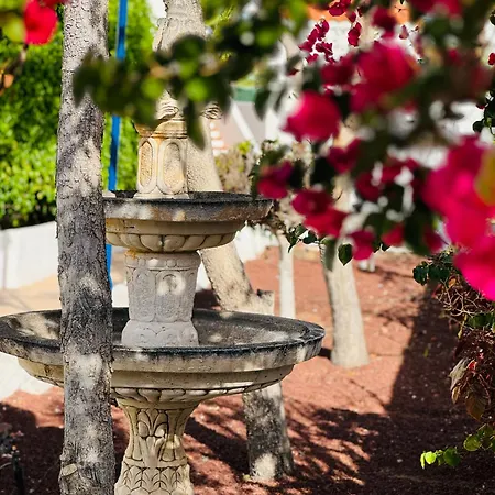 Appartement Sunshine Daydream Costa Adeje