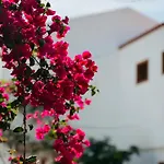 Sunshine Daydream Costa Adeje * Playa Feñabe