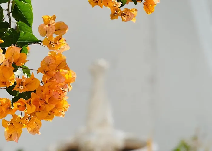 Sunshine Daydream Costa Adeje Apartman Playa Feñabe