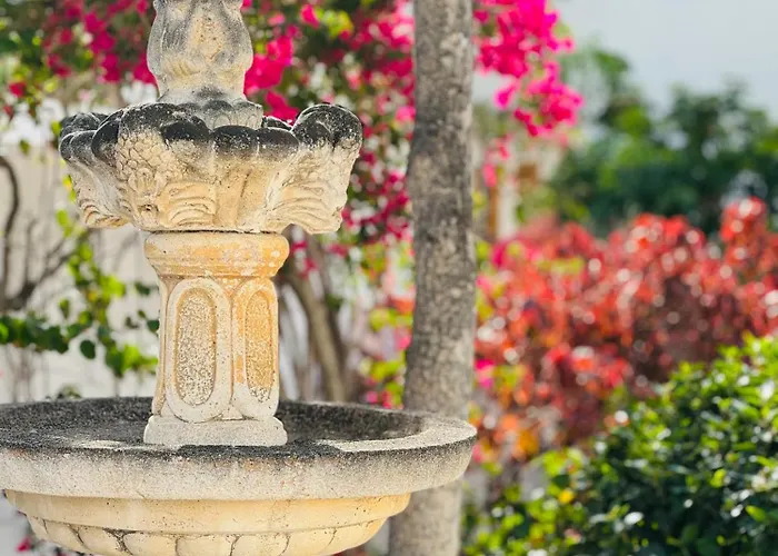 Sunshine Daydream Costa Adeje