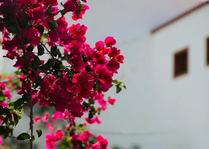 Sunshine Daydream Costa Adeje * Playa Fanabe